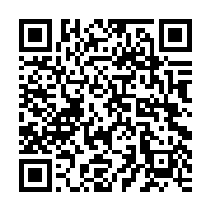 以及完全被遗忘的肢体语言……在真正的骗子面前根本过不了关二维码生成