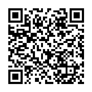 以及家长们所唯二关注的媒介――都没有进行报道二维码生成