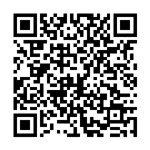 以及数十座卫星城因为海族的突然袭击而彻底毁灭二维码生成