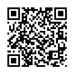 以及数百辆各式汽车参与的大场景二维码生成