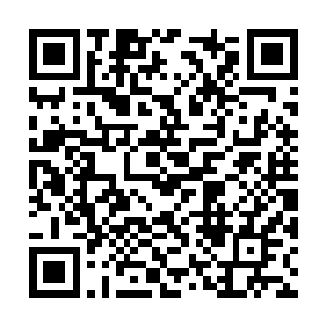 以及旁边的张医生和安莉莉也同样一脸期待的样子二维码生成