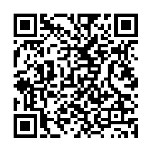 以及无法扫描到任何她的灵海中的信息确实是有些怪异二维码生成