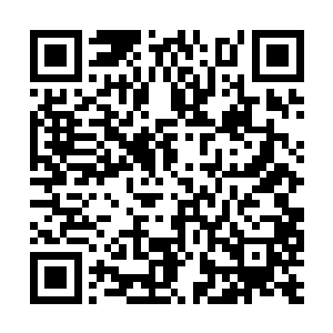 以及昌江的南潭是目前竹木产业发展比较好的地方二维码生成