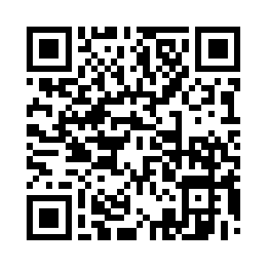 以及未来五次升级所需的材料和最终结果二维码生成