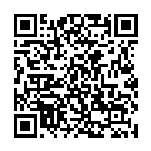 以及未来还会不断出现的相关基因突变的戈谢病患者二维码生成