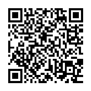 以及王靖雪那绝对可以用冷冰冰这三个字来形容的第一句……二维码生成