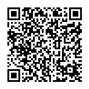 以及画面因为致盲导致的画面血雾弥漫让他失去了继续战斗的信心二维码生成