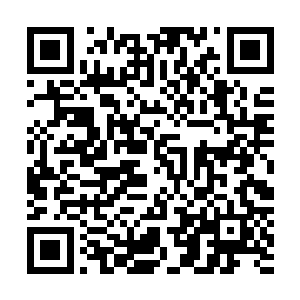 以及种族间残酷和苛刻的献祭制度还有等级制度著称的种族二维码生成