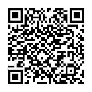 以及紫薇宗如今最强的一批人纷纷因此而出现在天空中二维码生成