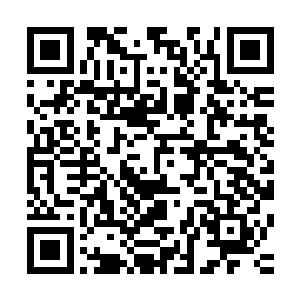 以及自己手臂每一束肌肉纤维和每一块骨头最完美的运动模式二维码生成