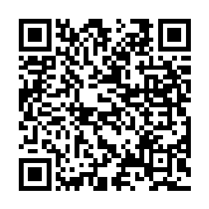 以及许多即食的点心和新鲜海鲜……都可以由客人自取二维码生成