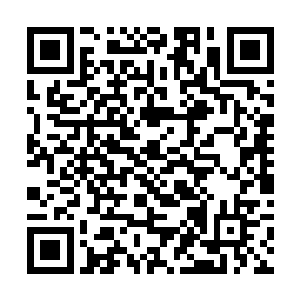 以及陈小练之前自己都不知道漏洞者的正确激活模式二维码生成