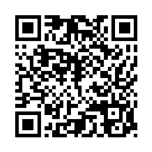 以后世的技术加上行星阶的强大精神力量二维码生成