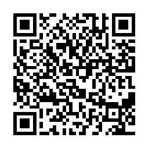 以后京山怕是热闹得连占据那半个山头的儿猴子都得逃下山了二维码生成