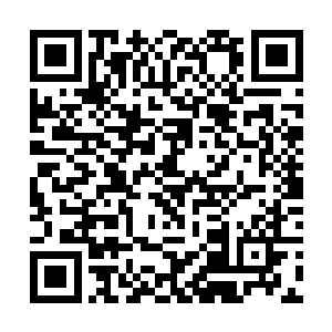 以后他在京城可就……哪怕是我向家族求情去保林烽二维码生成