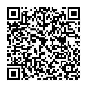 以后会在食堂后面的那条小弄里专门设置一些狗盆放食堂的剩菜剩饭二维码生成