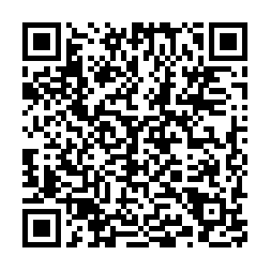 以后会有大型军用运输机长期低价向移民提供返回内地的机票……爹二维码生成