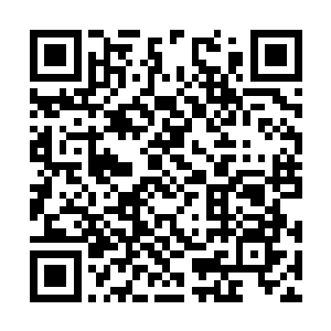 以后和斐济政府的交涉还有议价都会由他们来完成二维码生成