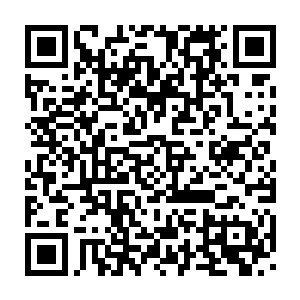 以后在市场上肯定要被这两个年份的酒压着……不如今天我帮你喝了二维码生成