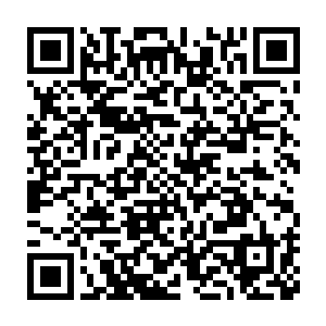 以后在江湖上就很难在混下去了……五大宗门那边绝对饶不了他的二维码生成