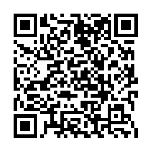 以后是不是就多一份力量出去找寻这些宝贝了啊二维码生成