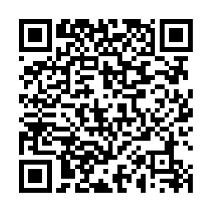 以后有的是时间引诱我……如果谢尔盖有什么不同意见二维码生成