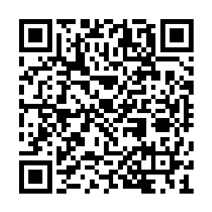 以后的材料绝对会源源不断的滚进我们的腰包的二维码生成