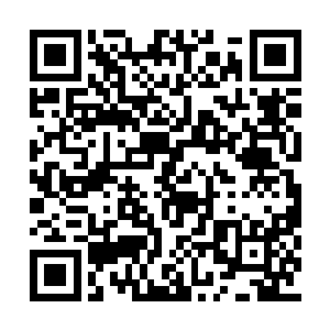 以后碰到一个女的胖子估计都会有这话调戏对方二维码生成