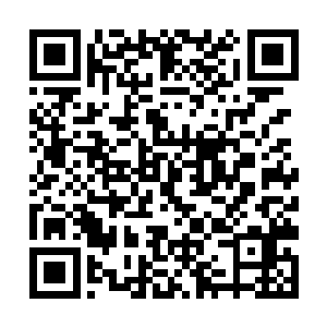 以后要是有小白他们的消息你就以第一时间都通知我二维码生成