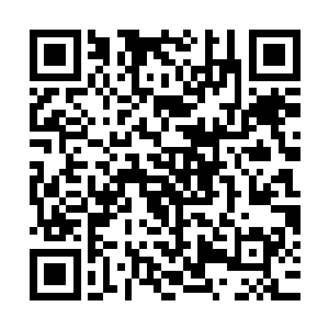 以大长老的性格绝对是不会将那些钥匙残片掌控在别人的手中的二维码生成