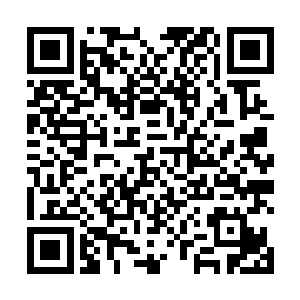 以天启组织的能量再加上地球意志这个恐怖的幕后黑手二维码生成