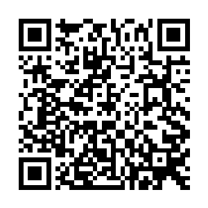 以她仙帝中期巅峰的修为击败一个仙帝初期的武修不会有问题二维码生成
