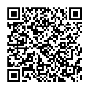 以她敏锐的洞察力还是觉察到貌似大少爷真的对这个村姑有些心动了……二维码生成