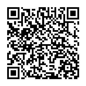 以如今许紫烟的修为想要在一个人尊期大修士的界中撑出一片属于自己的空间二维码生成