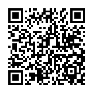 以张山的实力加上空间X能力一旦进入了战舰之内二维码生成