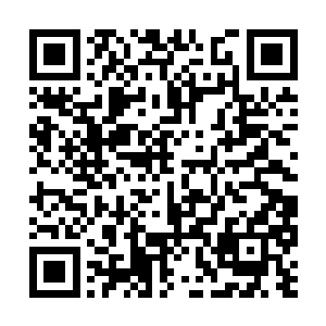 以往修士来南方建立宗门要不就是实力不足以立足二维码生成