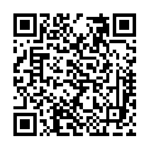 以往大多是邹老爷子的大弟子和三弟子两人做主的二维码生成