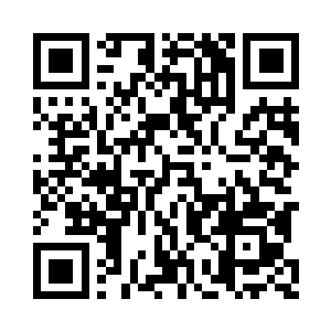 以往的柳絮总是带着一分小心翼翼地看向自己二维码生成