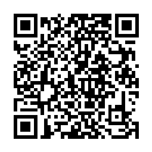 以往这个时候是猎手们回来的时刻也是部落里最热闹的时候二维码生成