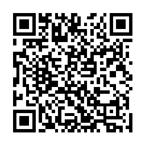 以快的不可思议的速度反而朝着鬼影的巨口主动撞了上去二维码生成