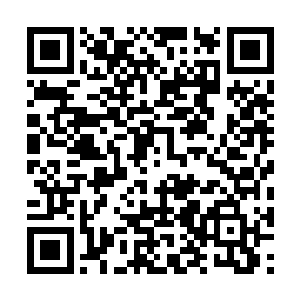 以我五气灵池为枢纽桥基完全可以直接支撑这桥梁二维码生成