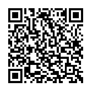 以我们十人的力量到时候会面对一万道能量风暴二维码生成