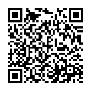 以我的运气来说究竟能遇上多倒霉的事儿是很难说的二维码生成