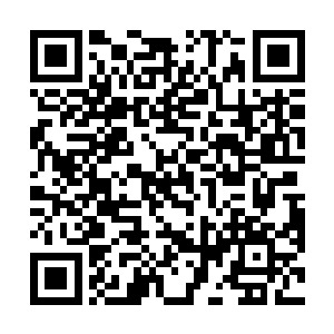 以暴龙公子暴涨后堪比圣域七重天后期接近巅峰的实力二维码生成