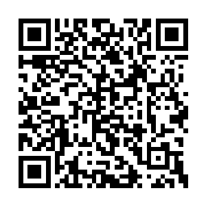 以楚暮达到四级圣躯巅峰的力量施展出的震地劲二维码生成