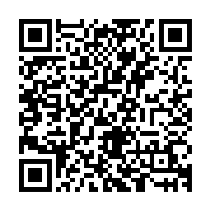 以残余寿元的飞快流逝和身躯的逐渐瓦解换来了力量的重归顶峰二维码生成