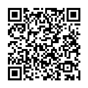 以海军陆战队的五千兵力去攻打这么大的城市不但耗时二维码生成