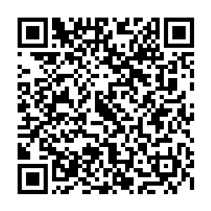 以独孤峰大地圣师的实力怎么可能被他们这些实力最强才不过大圣师的人给追上二维码生成
