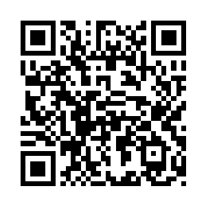 以琴弦交织而成的大网死死的束缚凤凰二维码生成