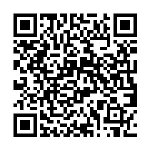 以答应接受将家的议和协议得到朝炎全部的利益为主二维码生成